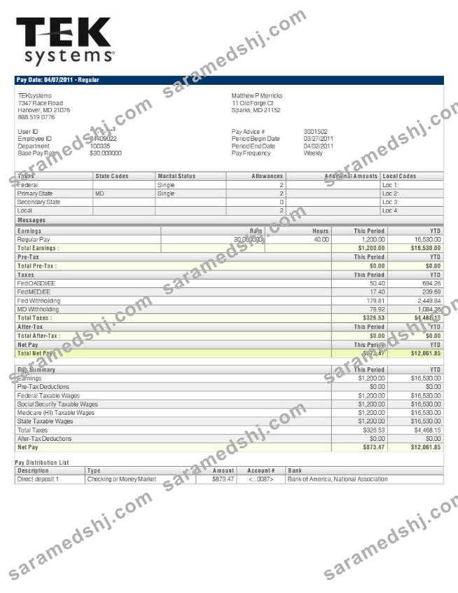 TEKsystems pay stub template in Word and PDF formats.pdf, 2